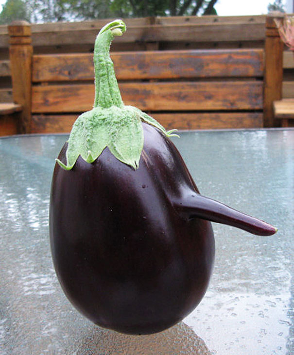 16 Funny-Shaped Fruits And Vegetables That Forgot How To Be Plants