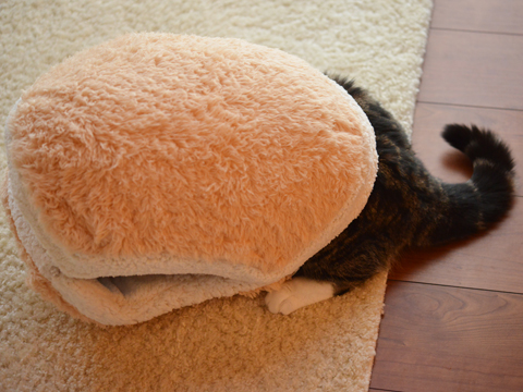 This Cat Burger Bed Will Turn Your Cat Into An Adorable Burger Patty This Cat Burger Bed Will Turn Your Cat Into An Adorable Burger Patty