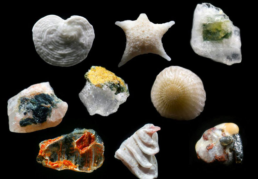 This Is How Sand Looks Magnified Up To 300 Times This Is How Sand Looks Magnified Up To 300 Times