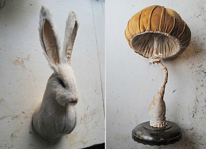 Self-Taught Artist Creates Fairytale Flora And Fauna From Vintage Fabrics Self-Taught Artist Creates Fairytale Flora And Fauna From Vintage Fabrics