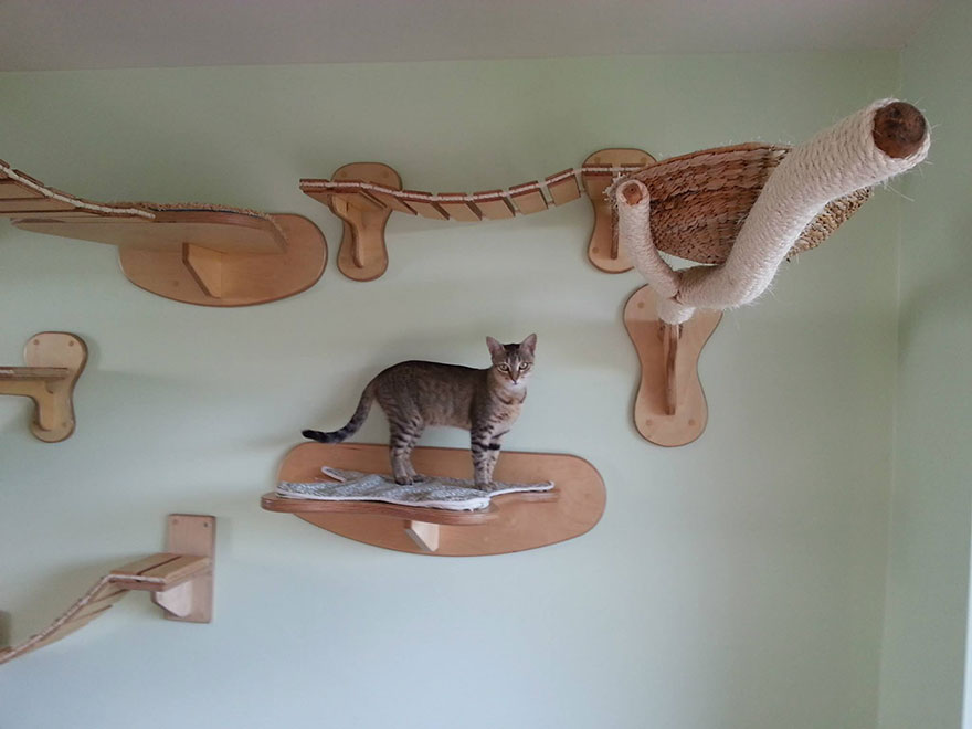 Rooms Transformed Into Overhead Cat Playgrounds With Walkways And Platforms