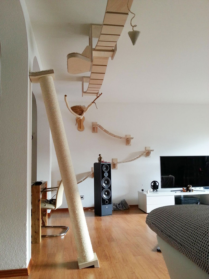 Rooms Transformed Into Overhead Cat Playgrounds With Walkways And Platforms