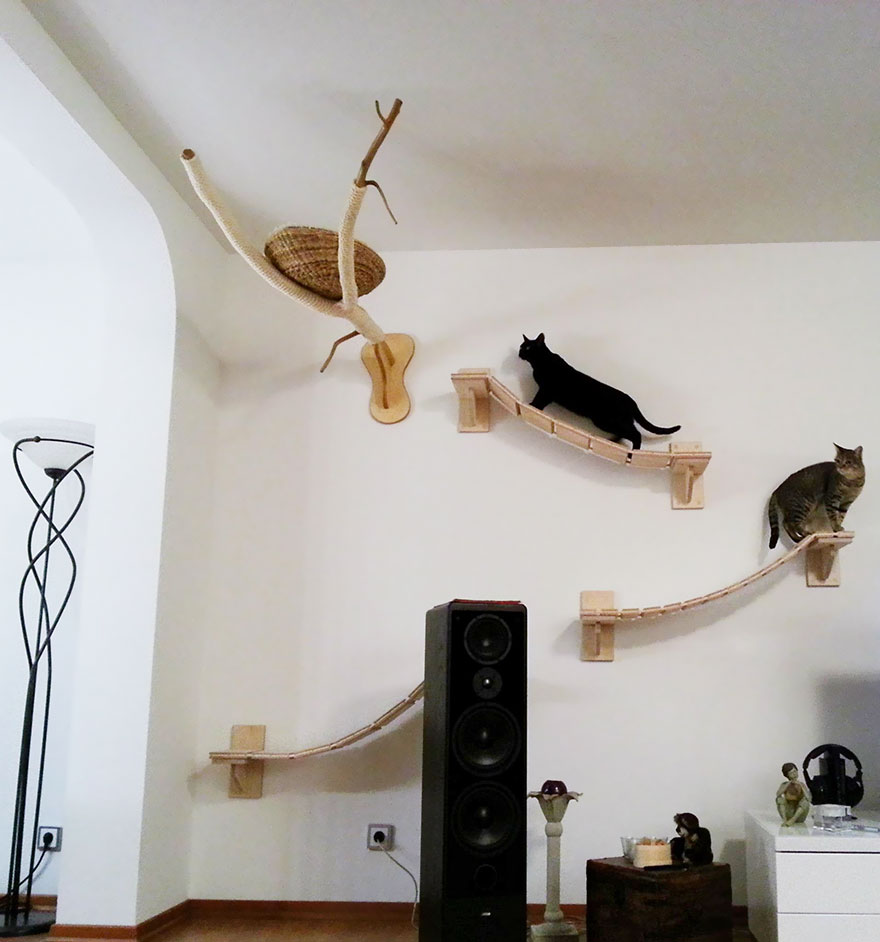 Rooms Transformed Into Overhead Cat Playgrounds With Walkways And Platforms