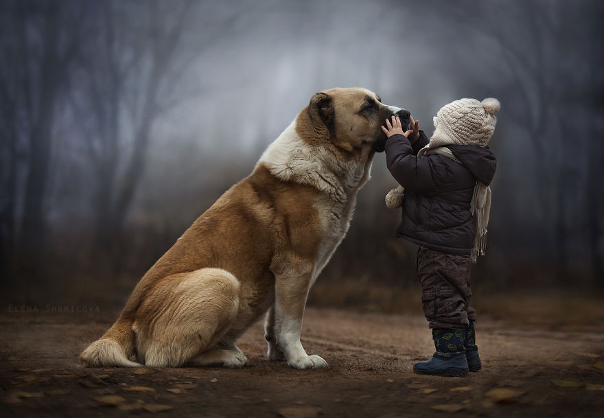 Russian Mother Takes Magical Pictures of Her Two Kids With Animals On Her Farm Russian Mother Takes Magical Pictures of Her Two Kids With Animals On Her Farm