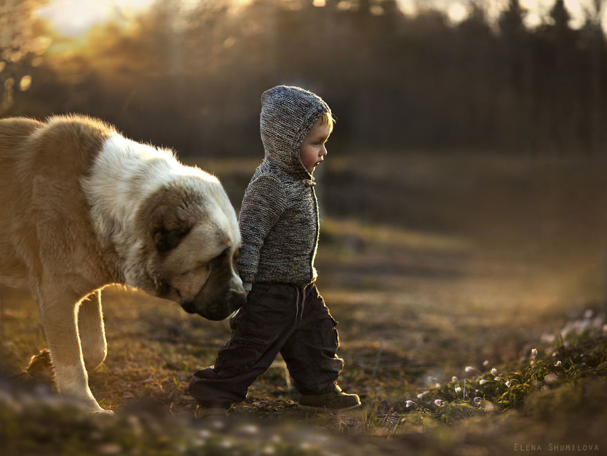 Russian Mother Takes Magical Pictures of Her Two Kids With Animals On Her Farm Russian Mother Takes Magical Pictures of Her Two Kids With Animals On Her Farm