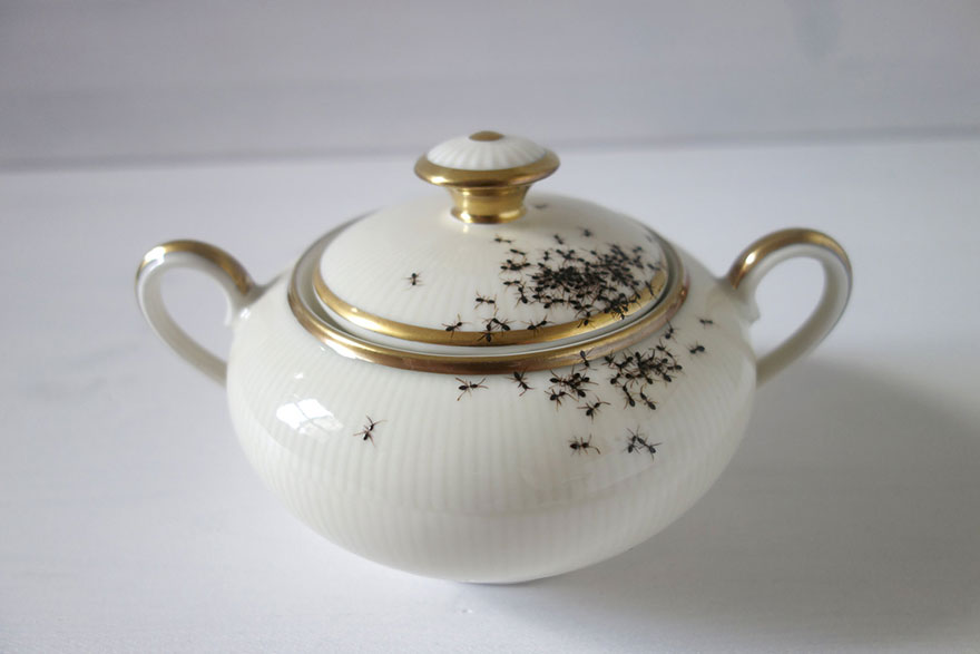 Elegant Porcelain Crawling With Creepy Hand-Painted Ants by Evelyn Bracklow Elegant Porcelain Crawling With Creepy Hand-Painted Ants by Evelyn Bracklow