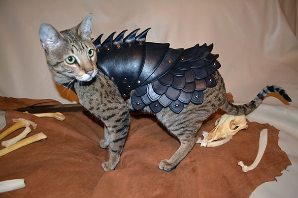 This Leather Cat Battle Armor Will Help Felines Enslave Humanity This Leather Cat Battle Armor Will Help Felines Enslave Humanity