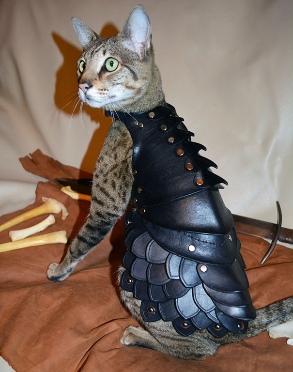This Leather Cat Battle Armor Will Help Felines Enslave Humanity This Leather Cat Battle Armor Will Help Felines Enslave Humanity