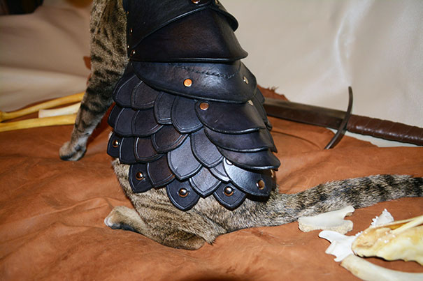 This Leather Cat Battle Armor Will Help Felines Enslave Humanity This Leather Cat Battle Armor Will Help Felines Enslave Humanity