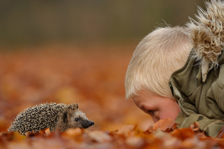 Photographer Gets Animals&#8217; Trust By Following Them Throughout The Year