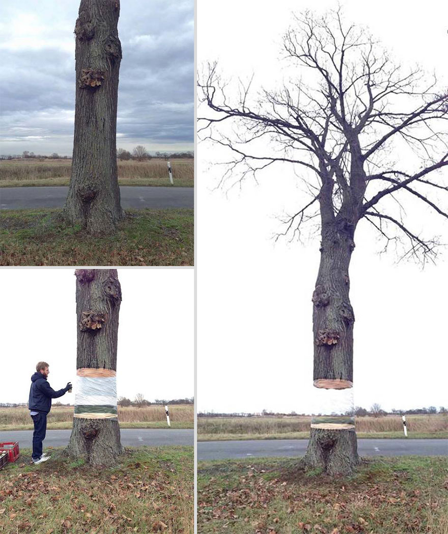 Mind-Bending Hovering Tree Illusion by Daniel Siering and Mario Shu in Potsdam, Germany