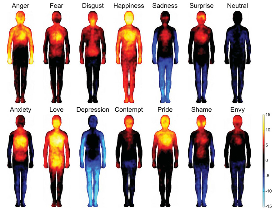These Heatmaps Reveal Where Humans Feel Certain Emotions