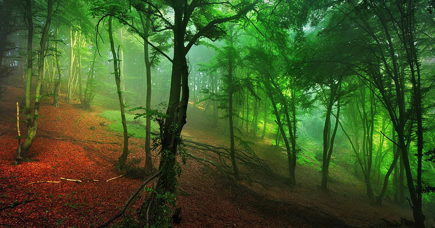 Brothers Grimm’s Fairy Tales Illustrated In Ghostly Photographs by Killian Shoenberger Brothers Grimm’s Fairy Tales Illustrated In Ghostly Photographs by Killian Shoenberger