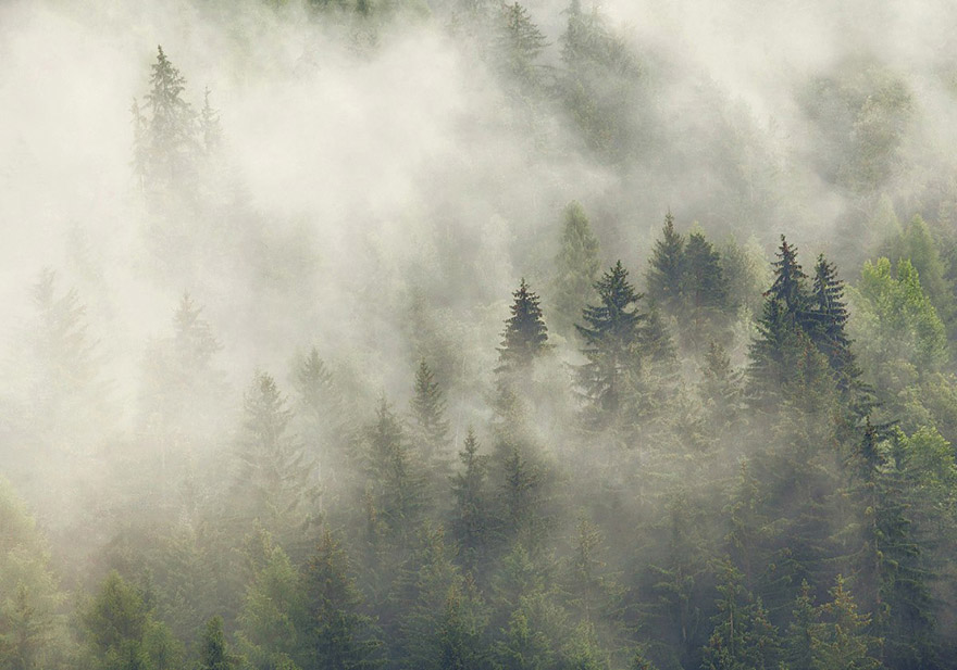 Brothers Grimm’s Fairy Tales Illustrated In Ghostly Photographs by Killian Shoenberger Brothers Grimm’s Fairy Tales Illustrated In Ghostly Photographs by Killian Shoenberger