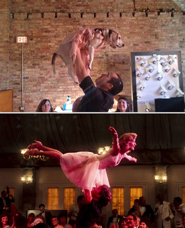 Guy Re-Enacts Famous Movie Scenes With His Boss’s Dog Guy Re-Enacts Famous Movie Scenes With His Boss’s Dog