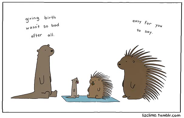 Simpsons Animator Liz Climo Creates Incredibly Cute Animal Comics on Tumblr Simpsons Animator Liz Climo Creates Incredibly Cute Animal Comics on Tumblr