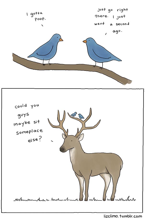 Simpsons Animator Liz Climo Creates Incredibly Cute Animal Comics on Tumblr Simpsons Animator Liz Climo Creates Incredibly Cute Animal Comics on Tumblr