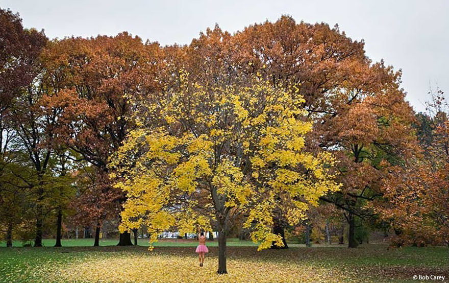 Man Puts On A Pink Tutu And Travels The World To Bring A Smile To His Wife Fighting Breast Cancer