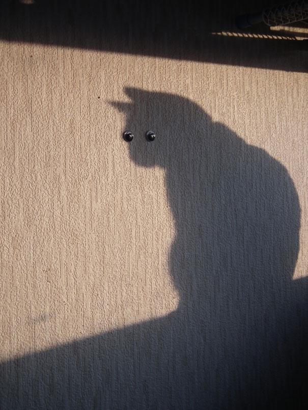 25 Photos Of Shadows That Tell A Different Story