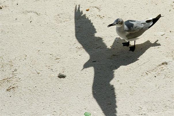 25 Photos Of Shadows That Tell A Different Story