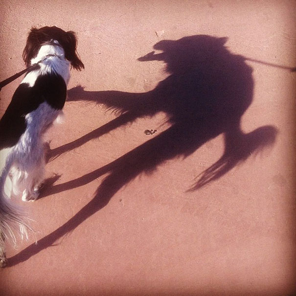 25 Photos Of Shadows That Tell A Different Story