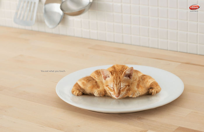25 Cute And Funny Print Ads Starring Animals 25 Cute And Funny Print Ads Starring Animals