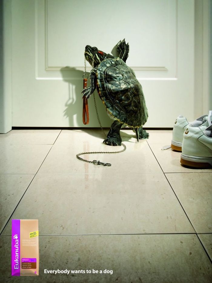 25 Cute And Funny Print Ads Starring Animals 25 Cute And Funny Print Ads Starring Animals