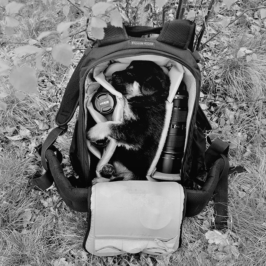 Father Takes Heartwarming Photos Of His Children And Their Animals In Rustic Village In Poland