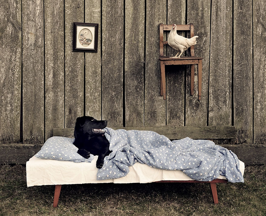 Father Takes Heartwarming Photos Of His Children And Their Animals In Rustic Village In Poland