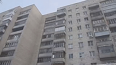 These 20 Educational Gifs Will Teach You More Than A Textbook Can