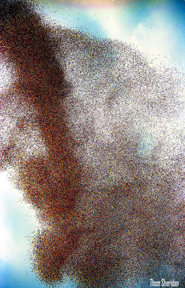 1.5 Million Balloons Unleashed Total Chaos On Cleveland In 1986 1.5 Million Balloons Unleashed Total Chaos On Cleveland In 1986