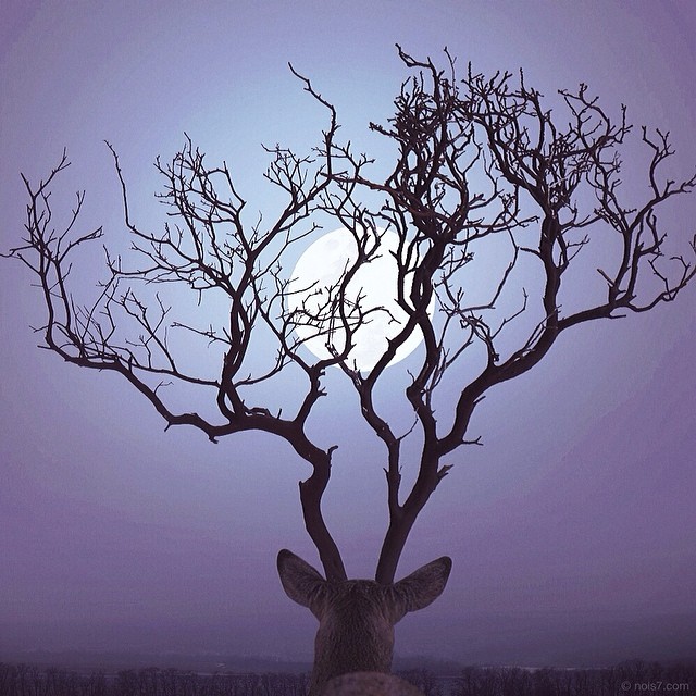 These Inspiring Surreal Photos By Instagrammer Nois7 Will Brighten Your Day