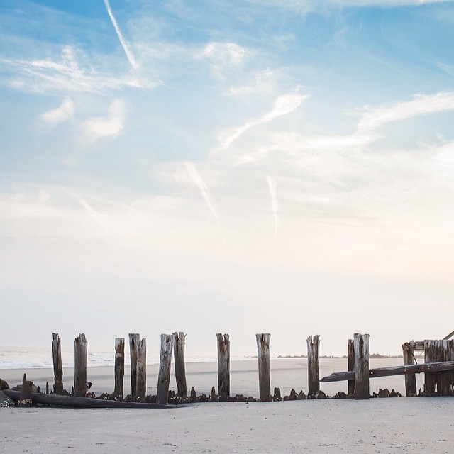 Can You Find Momo In These Photos? (Part 2) Can You Find Momo In These Photos? (Part 2)