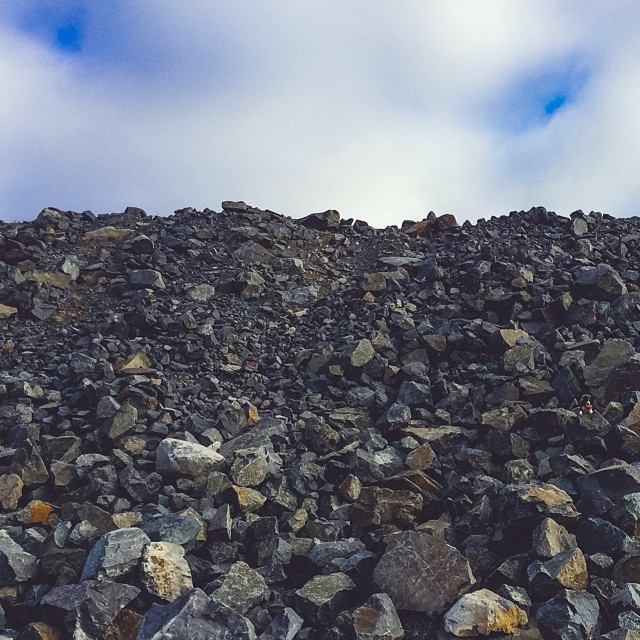 Can You Find Momo In These Photos? (Part 2) Can You Find Momo In These Photos? (Part 2)