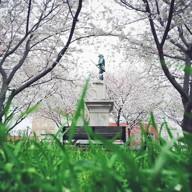 Can You Find Momo In These Photos? (Part 2) Can You Find Momo In These Photos? (Part 2)