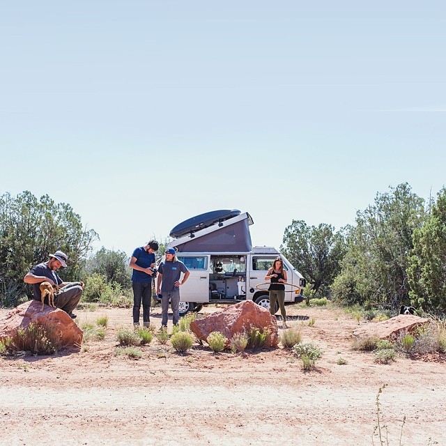 Can You Find Momo In These Photos? (Part 2) Can You Find Momo In These Photos? (Part 2)