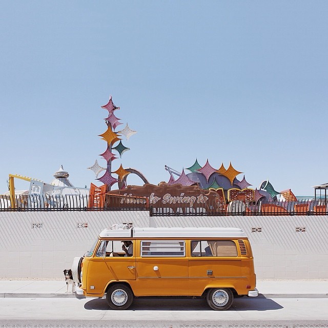 Can You Find Momo In These Photos? (Part 2) Can You Find Momo In These Photos? (Part 2)