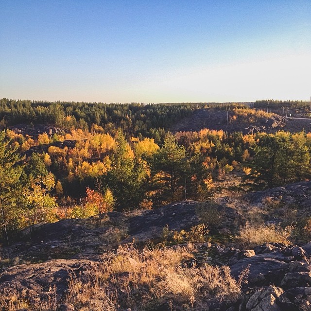 Can You Find Momo In These Photos? (Part 2) Can You Find Momo In These Photos? (Part 2)