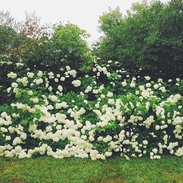 Can You Find Momo In These Photos? (Part 2) Can You Find Momo In These Photos? (Part 2)