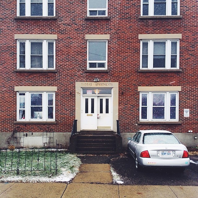 Can You Find Momo In These Photos? (Part 2) Can You Find Momo In These Photos? (Part 2)