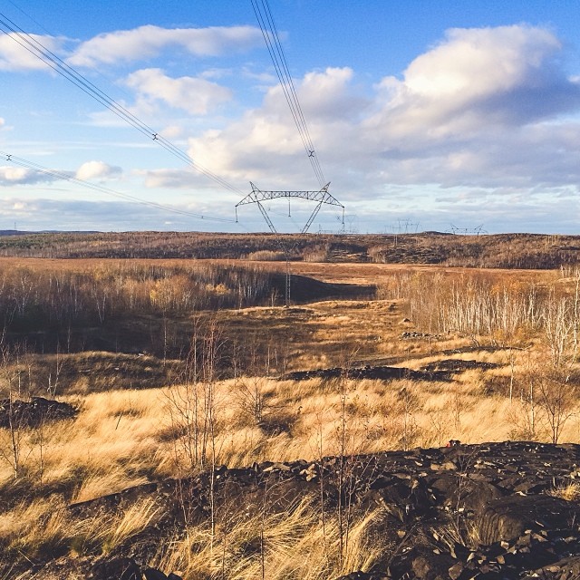 Can You Find Momo In These Photos? (Part 2) Can You Find Momo In These Photos? (Part 2)