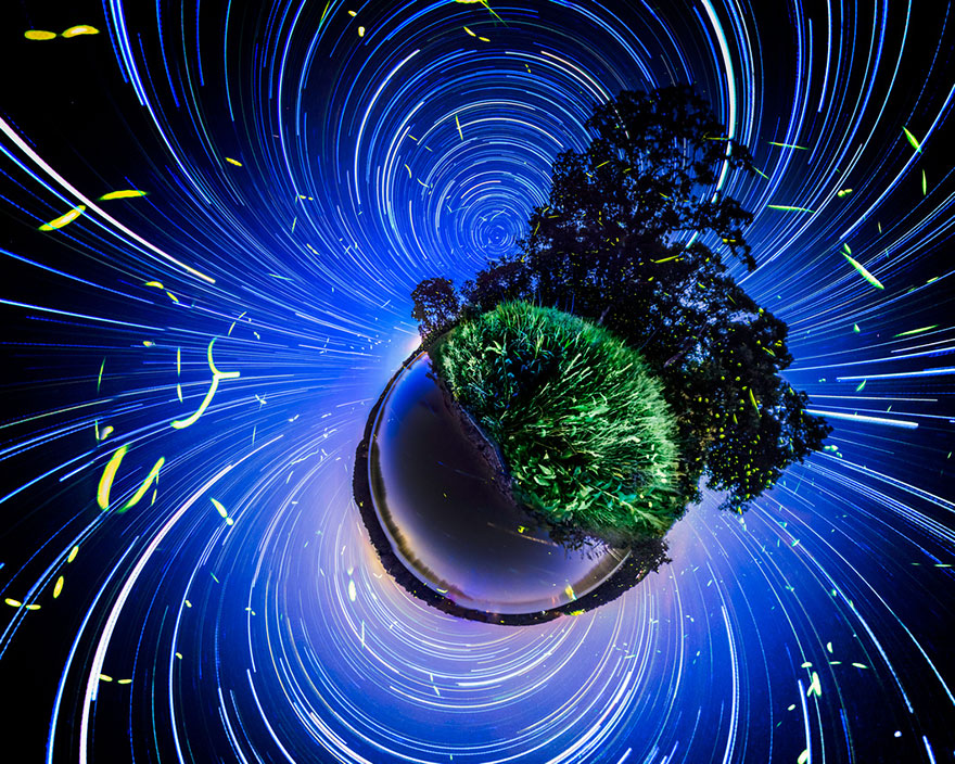Dream-Like Pictures Of Firefly Light-Trails Captured Using Long-Exposure Photography Dream-Like Pictures Of Firefly Light-Trails Captured Using Long-Exposure Photography