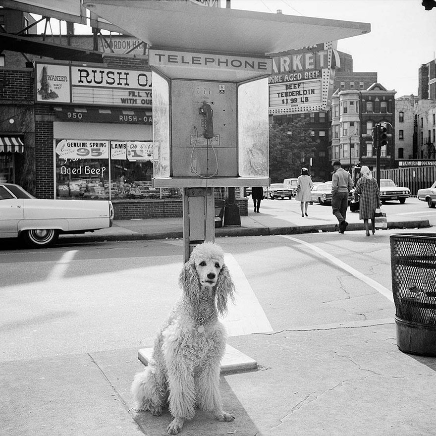 The Nearly Lost 1950s Street Photos of NYC And Chicago by Vivian Maier Were Discovered Only After Her Death The Nearly Lost 1950s Street Photos of NYC And Chicago by Vivian Maier Were Discovered Only After Her Death