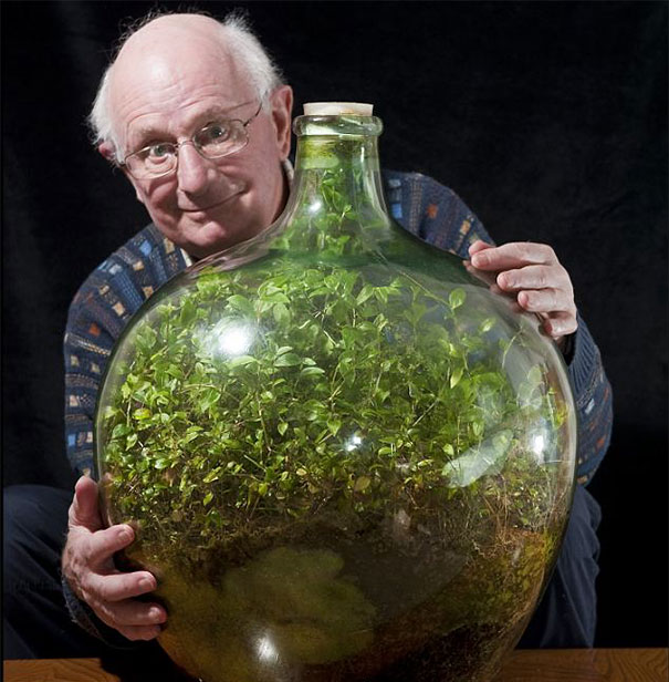 80-Year-Old Man Hasn&#8217;t Watered This Sealed Bottle Garden Since 1972 And It&#8217;s Still Alive