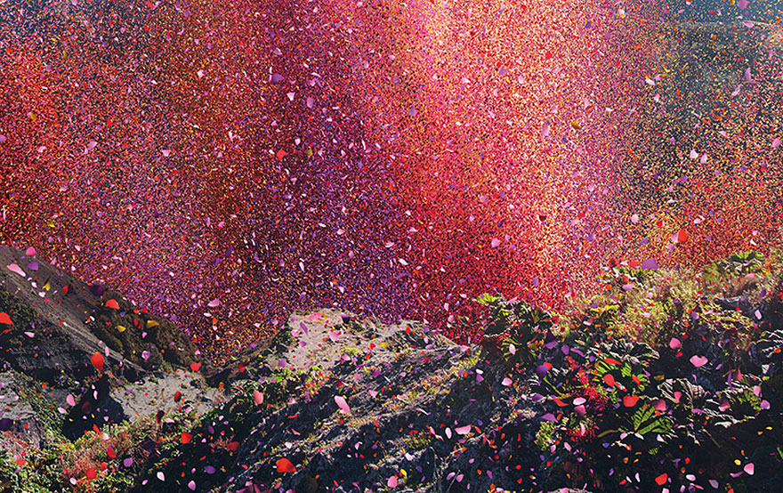 8 Million Flower Petals Rain Down On A Village In Costa Rica 8 Million Flower Petals Rain Down On A Village In Costa Rica