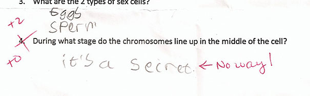 30 Brilliant Test Answers From Smartass Kids That Will Make You Laugh