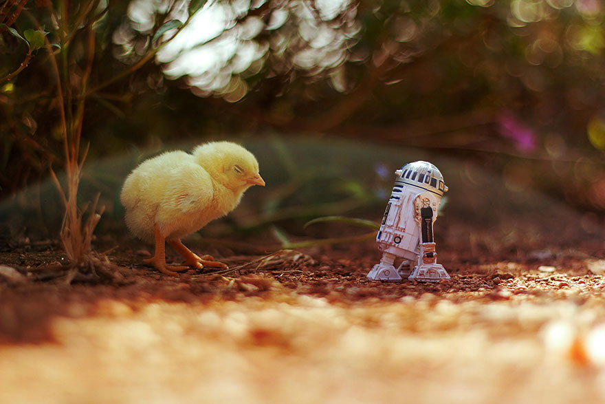 Miniature Star Wars Adventures By Zahir Batin