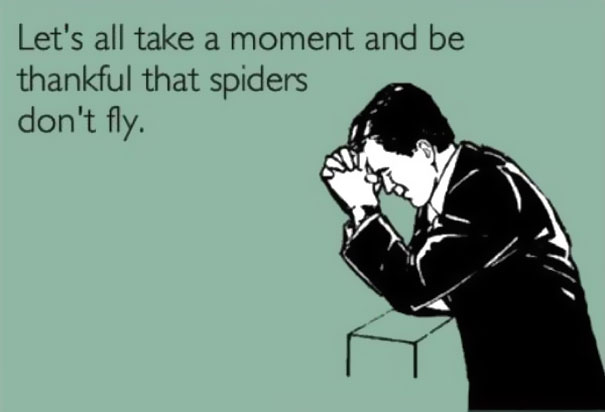 29 Happy Animal Facts That Will Make You Smile 29 Happy Animal Facts That Will Make You Smile