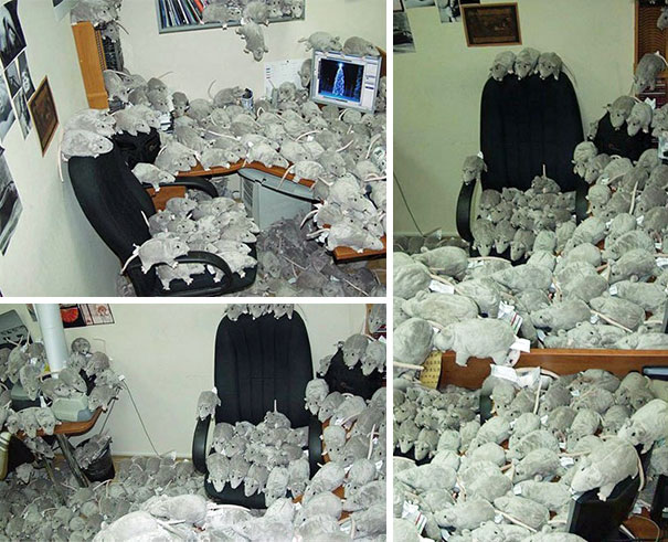 25 Prank Ideas That Are Too Good Not To Try