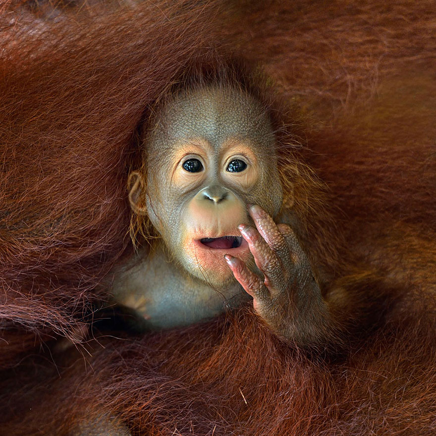 The Winners Of The 2014 Sony World Photography Awards Have Been Announced The Winners Of The 2014 Sony World Photography Awards Have Been Announced